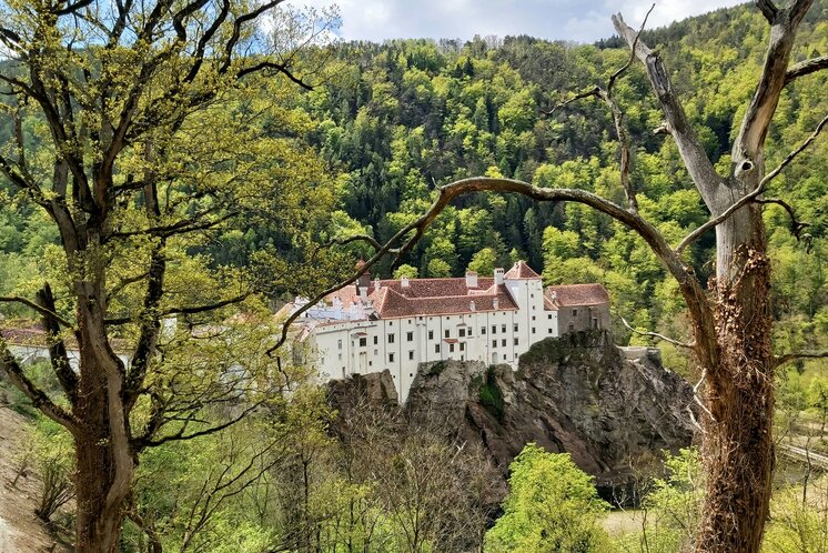 Aussicht auf Schloss Herberstein in der Oststeiermark | ©  Oststeiermark Tourismus | Christine Pollhammer