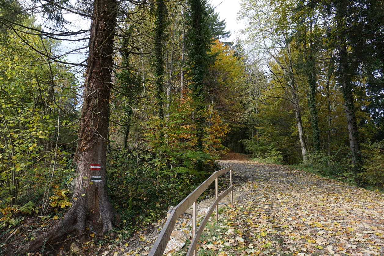 Wanderweg bei der Burgruine Waxenegg | ©  Oststeiermark Tourismus | Jasmin Perhofer