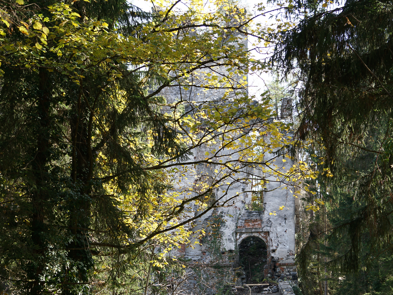 Burgruine Waxenegg in der Oststeiermark