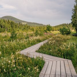 Moorlehrpfad auf der Teichalm | © Oststeiermark Tourismus, cmvisuals