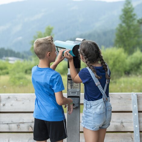In die Ferne am Moorlehrpfad blicken | ©  Oststeiermark Tourismus | Rene Strasser | © Oststeiermark Tourismus, Rene Strasser