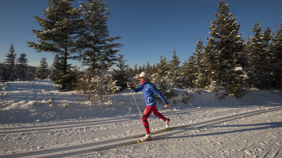 Ein Langläufer auf der Jogllandloipe in der Oststeiermark
