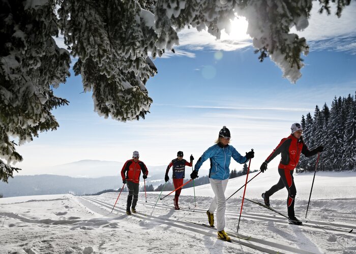 Cross country skiing in Eastern Styria in a beautiful winter landscape | © TV Oststeiermark | Bernhard Bergmann