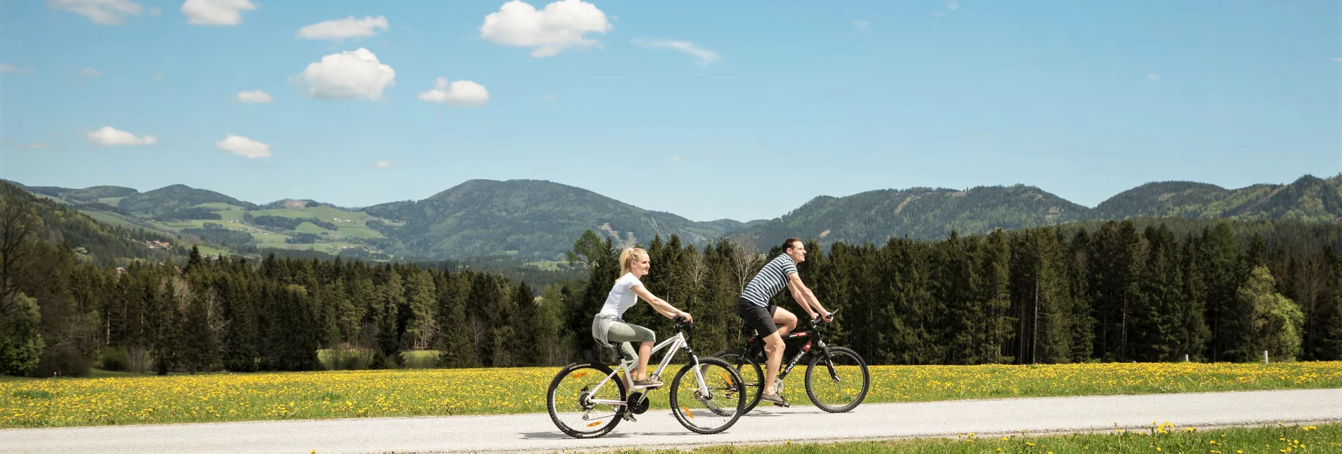 Couple cycling along a dandelion meadow in the Almenland Nature Park in Eastern Styria | © TV Oststeiermark | Bernhard Bergmann