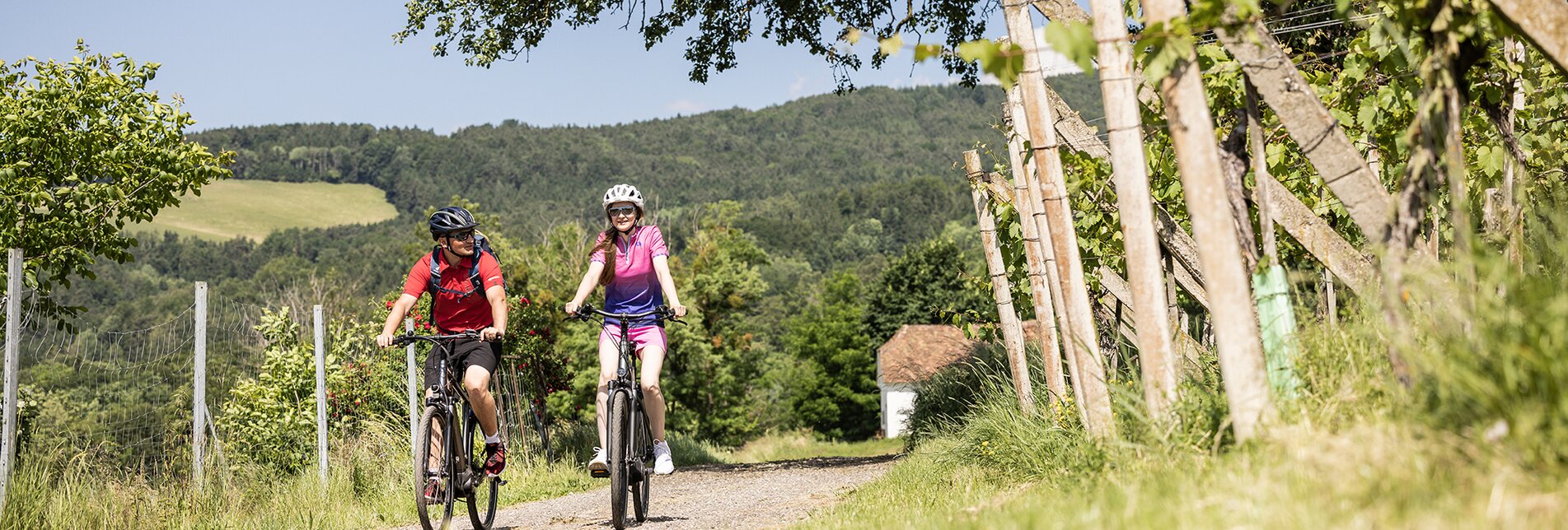 Pärchen beim Fahrradfahren durch die Weingärten von Löffelbach | © TV Oststeiermark | Velontour