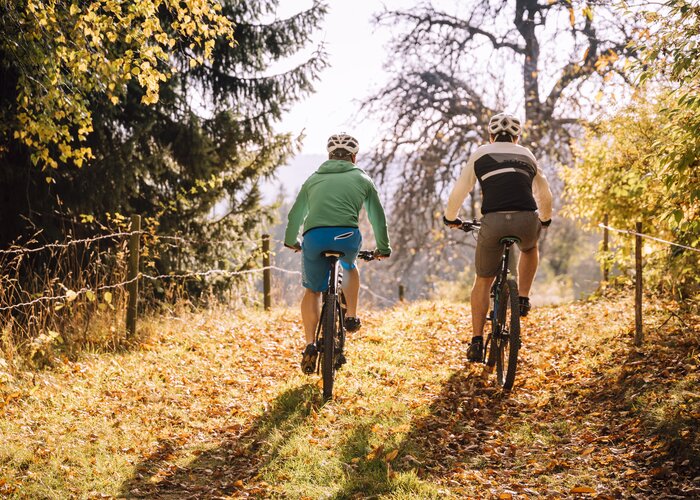 Mountainbiken im Herbst im Joglland | Bernhard Bergmann | © Oststeiermark Tourismus, Bernhard Bergmann