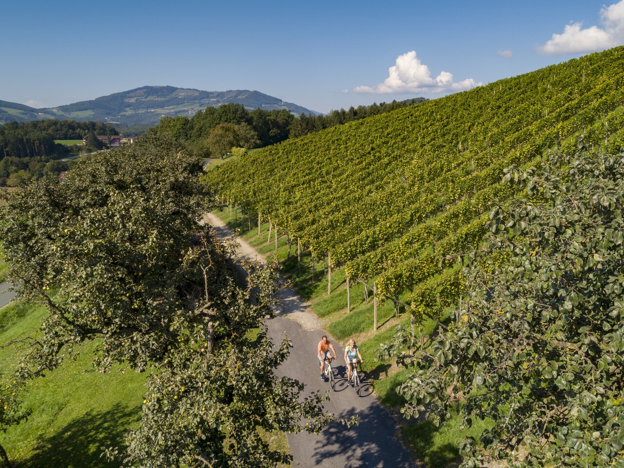 ©  Oststeiermark Tourismus | Bernhard Bergmann