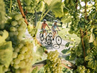 Radfahren durch die Weingärten | © Oststeiermark Tourismus, Bernhard Bergmann