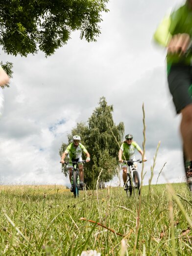 Radfahren am großen Jogl in der Oststeiermark | © TV Oststeiermark | Klaus Ranger
