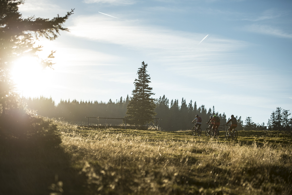 Mountain biking on the Styrian Wexl Trails in Eastern Styria | © Oststeiermark Tourismus | Wexl Trails