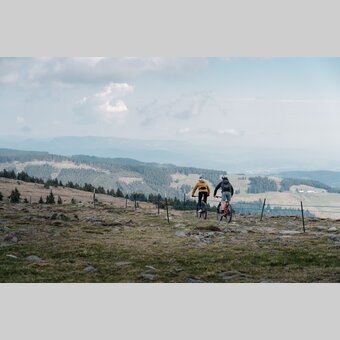 Mountainbiken auf den steirischen Wexl Trails in der Oststeiermark  | © Wexl Trails | Roastmedia
