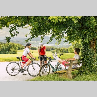 Rennradtour im Apfelland-Stubenbergsee | ©  Oststeiermark Tourismus |  Bernhard Bergmann
