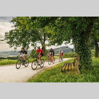 Rennradtour im Apfelland-Stubenbergsee | © Oststeiermark Tourismus |  Bernhard Bergmann