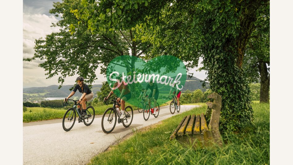 Rennradtour im Apfelland-Stubenbergsee | © Oststeiermark Tourismus |  Bernhard Bergmann