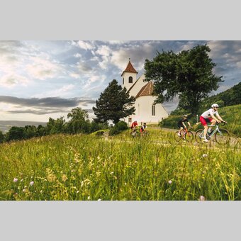 Rennradtour im Apfelland-Stubenbergsee | ©  Oststeiermark Tourismus |  Bernhard Bergmann