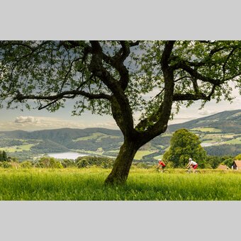 Rennradtour im Apfelland-Stubenbergsee | ©  Oststeiermark Tourismus |  Bernhard Bergmann
