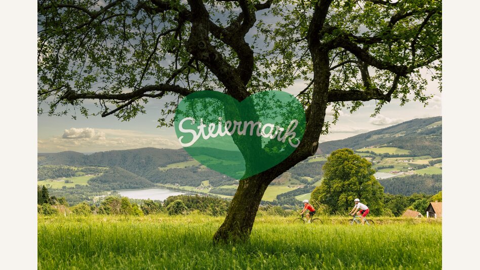 Rennradtour im Apfelland-Stubenbergsee | ©  Oststeiermark Tourismus |  Bernhard Bergmann