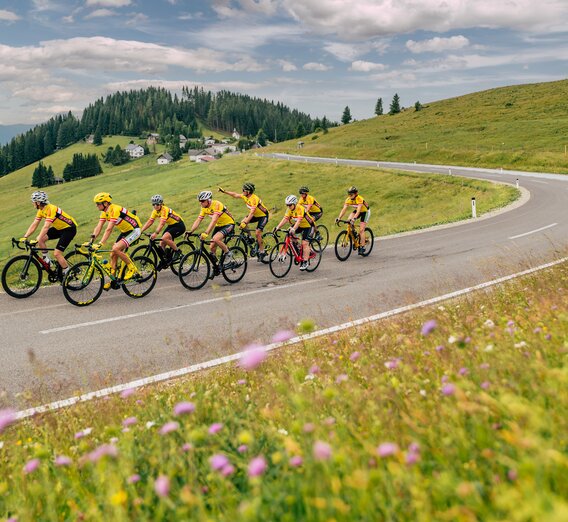 Rennradtour im Naturpark Almenland | © Oststeiermark Tourismus |  Bernhard Bergmann