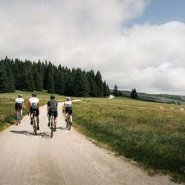 Gravelbiker auf dem Weg zum Hochwechsel in der Oststeiermark