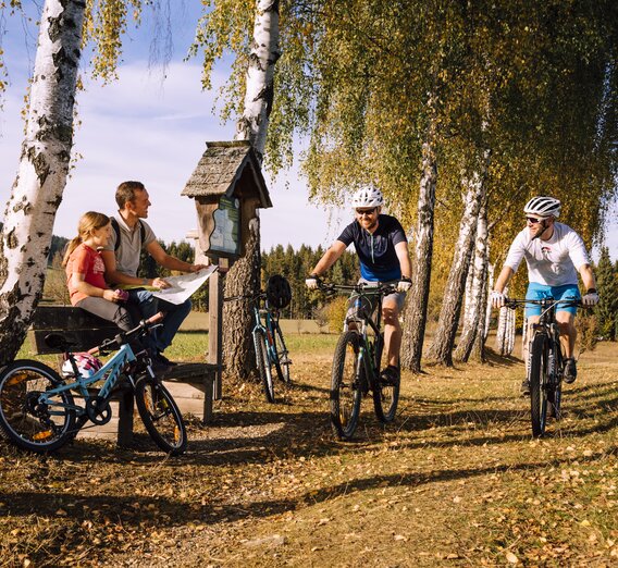 Mountainbiken und Radfahren im Herbst in der Oststeiermark | © TV Oststeiermark | Bernhard Bergmann | © Oststeiermark Tourismus, Bernhard Bergmann
