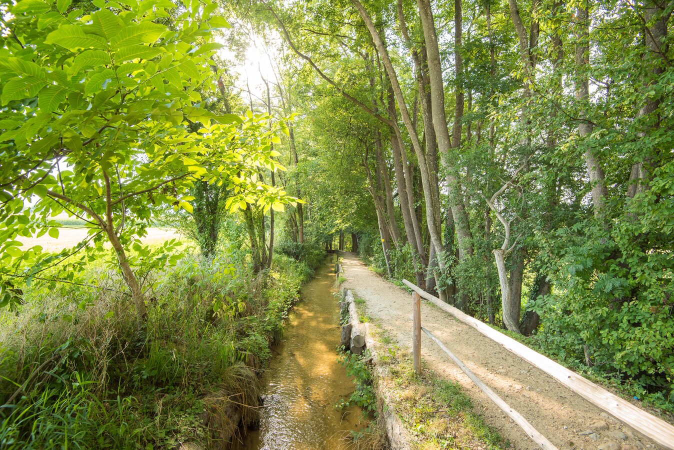 Wandern | Oststeiermark