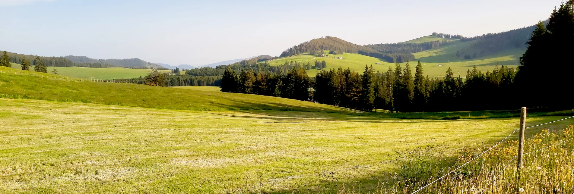 Alpine landscape in summer in Eastern Styria | © TV Oststeiermark | Christine Pollhammer