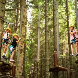 Kletterspaß im Almerlebnispark auf der Teichalm 