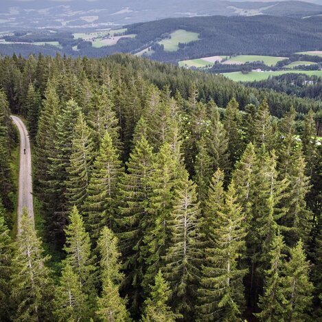 Gravel Biken im Joglland in der Oststeiermark | © Gravel Grinders | Ally H. & Leo S.