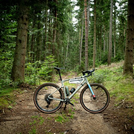 Gravel Biken auf Waldwegen in der Oststeiermark | © TV Oststeiermark | Martin Granadia