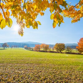 Herbst im Naturpark Pöllauertal in der Oststeiermark
