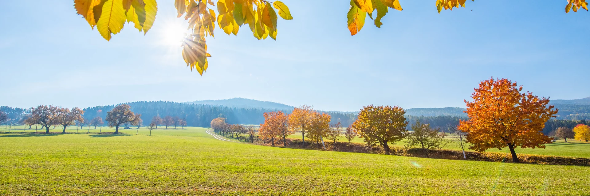 Herbst im Naturpark Pöllauertal in der Oststeiermark | © TV Oststeiermark | Helmut Schweighhofer