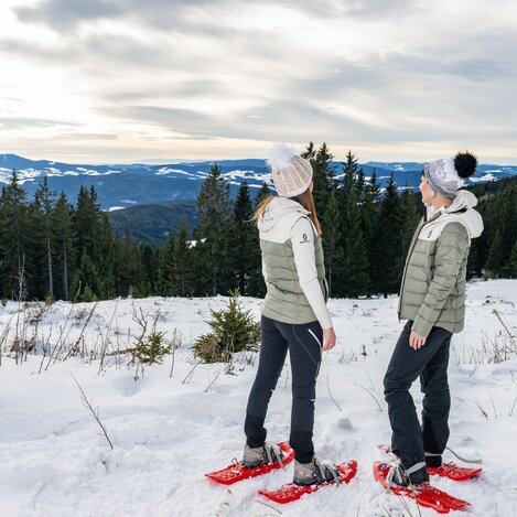 Schneeschuhwandern mit Schneelandschaft am Hochwechsel | © Oststeiermark Tourismus | Rene Strasser