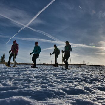 Schneeschuhwandern auf der Tyrnauer Alm in der Oststeiermark | © Oststeiermark Tourismus
