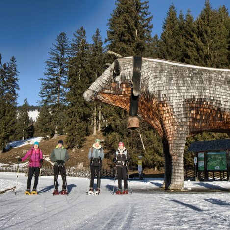 Schneeschuhwandern auf der Tyrnauer Alm in der Oststeiermark | © Oststeiermark Tourismus