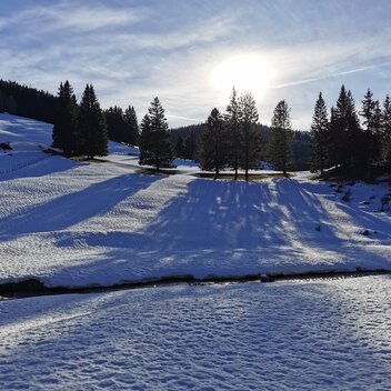 Winterlandschaft auf der Teichalm | © Oststeiermark Tourismus