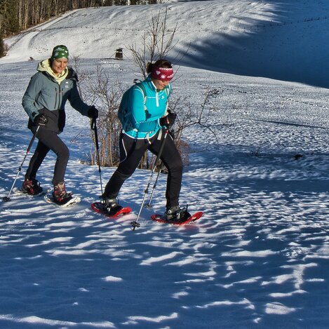 Schneeschuhwandern auf der Tyrnauer Alm in der Oststeiermark | © Oststeiermark Tourismus