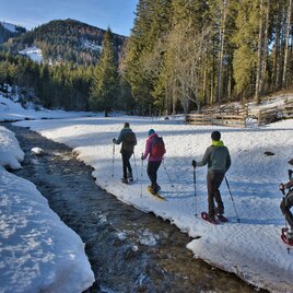 Schneeschuhwandern auf der Tyrnauer Alm in der Oststeiermark