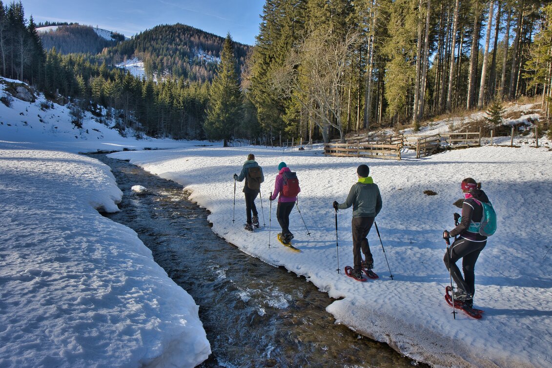 Schneeschuhwandern auf der Tyrnauer Alm in der Oststeiermark | © Oststeiermark Tourismus