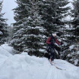 Skitourgeher im Joglland-Waldheimat