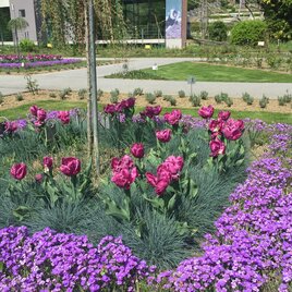 Blumengarten in Herberstein in der Oststeiermark