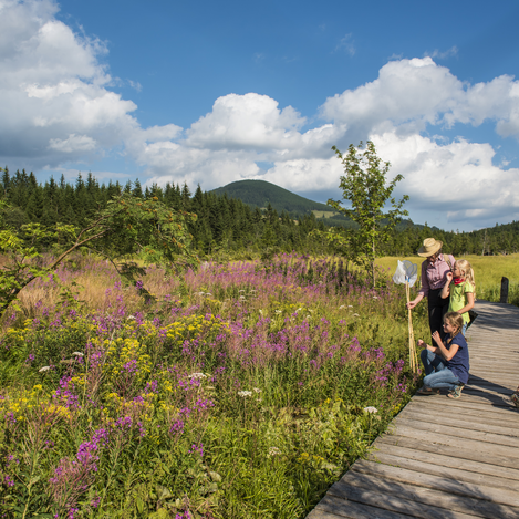 Naturpark Almenland in der Oststeiermark | © Oststeiermark Tourismus |  Bernhard Bergmann