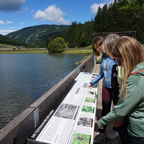 Schautafeln und Teichalmsee | ©  Oststeiermark Tourismus | Chiara Raith