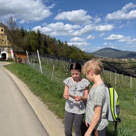 Am Wanderweg "7 Plätze 7 Schätze"