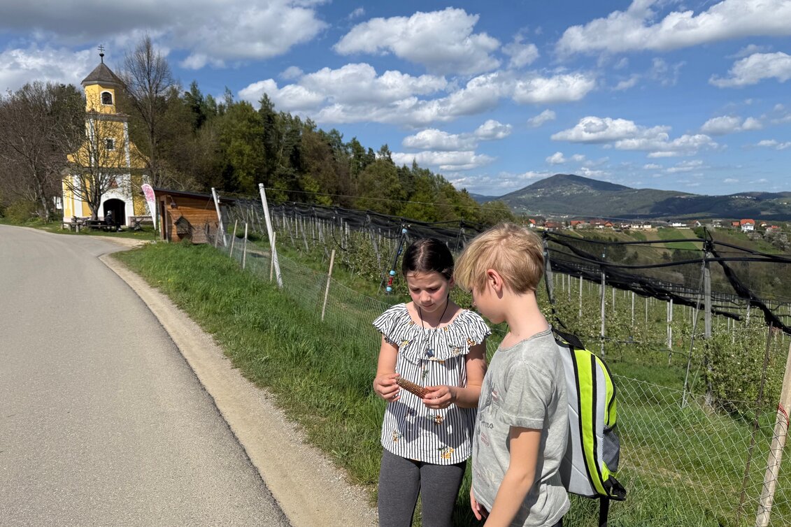 Am Wanderweg "7 Plätze 7 Schätze" | © 
Oststeiermark Tourismus | Nina Ressel