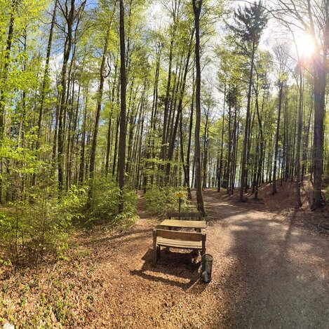 Frühlingsstimmung am Rundweg "7 Plätze 7 Schätze" | © 
Oststeiermark Tourismus | Nina Ressel