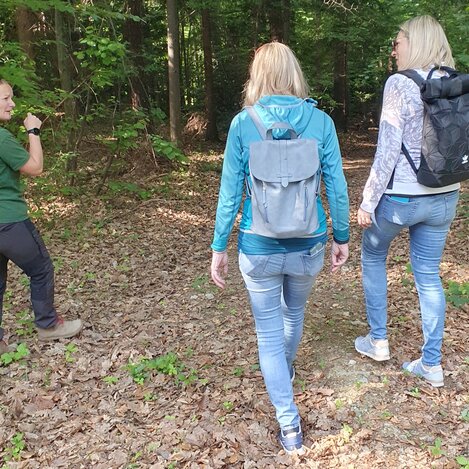 Kräuterwanderung durch Wald und über Wiese | © 
Oststeiermark Tourismus | Anja Reichenbäck