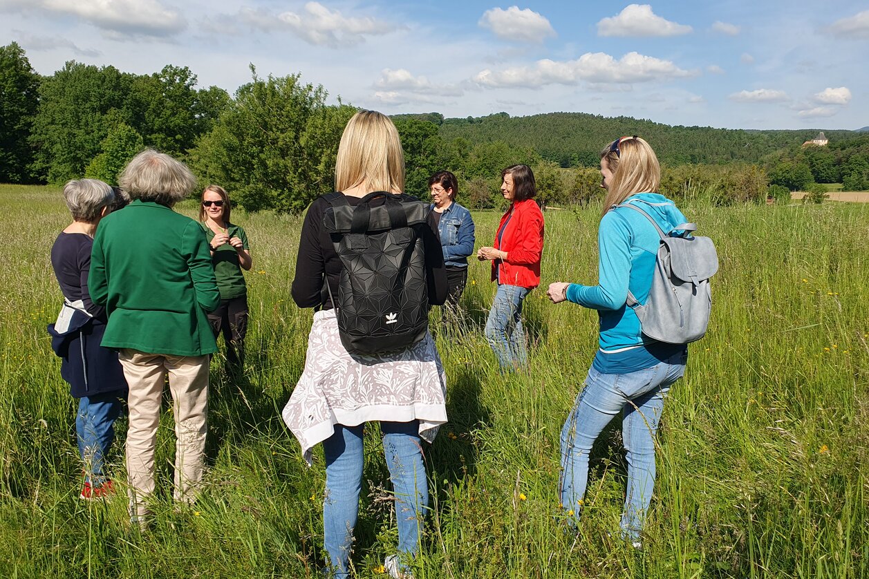  Herb hike with herbalist Julia | © 
Oststeiermark Tourismus | Anja Reichenbäck