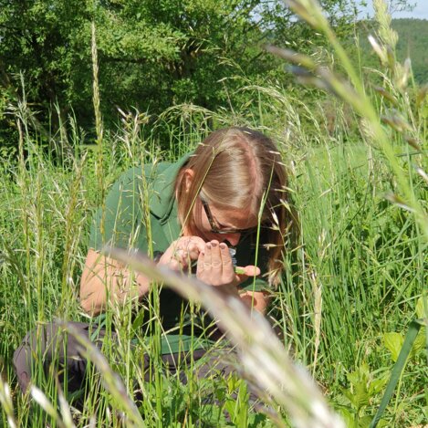 Herrlicher Kräuterduft liegt in der Luft | © 
Oststeiermark Tourismus | Anja Reichenbäck