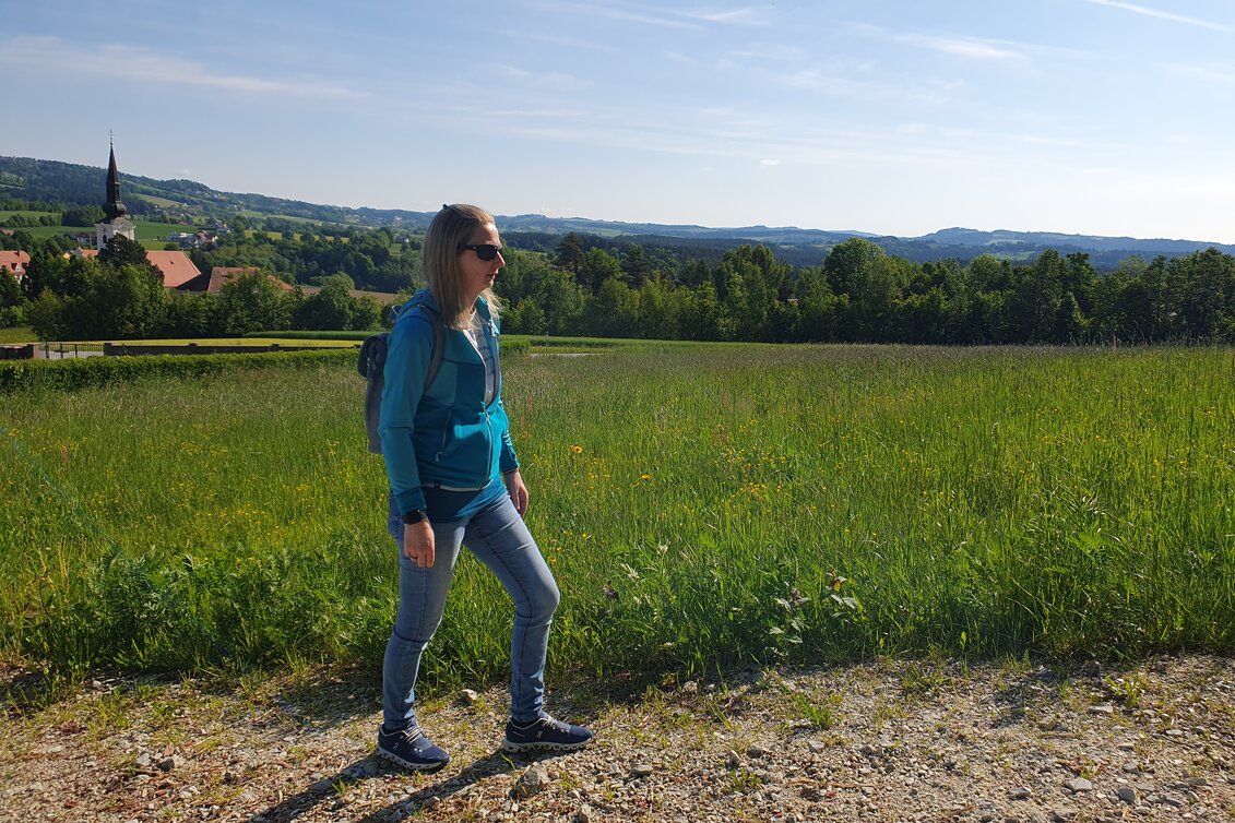 Kräuterwanderung mit Aussicht  | © 
Oststeiermark Tourismus | Anja Reichenbäck