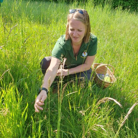 Wiesenkräuter in der Kräuterregion Wechselland in der Oststeiermark | © 
Oststeiermark Tourismus | Anja Reichenbäck